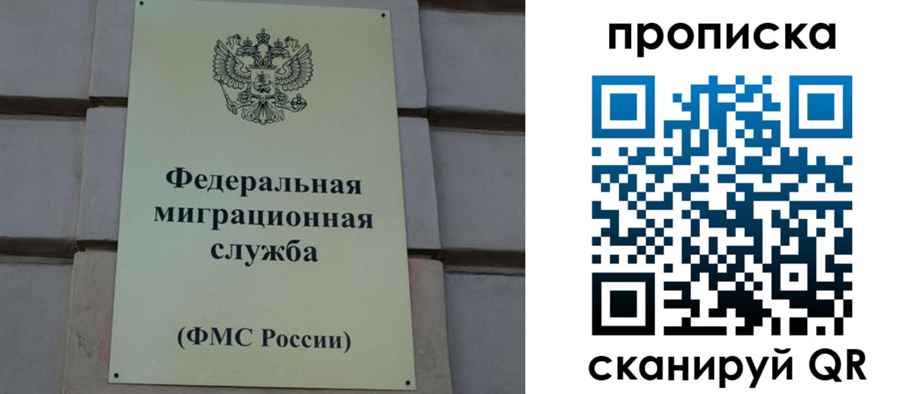 прописка поиск в Козловке